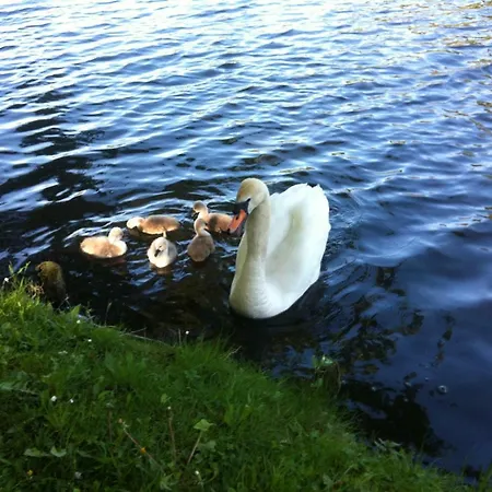 فندق Woerlitzer Hof Oranienbaum-Woerlitz