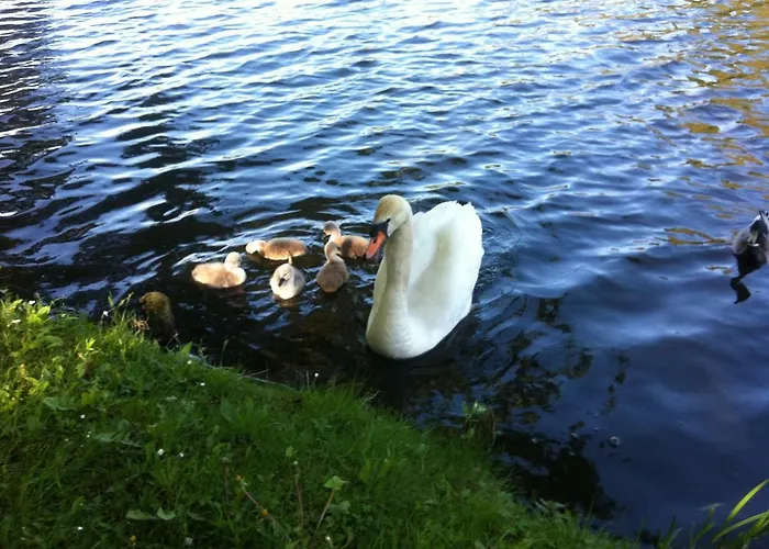 Szálloda Woerlitzer Hof Oranienbaum-Wörlitz