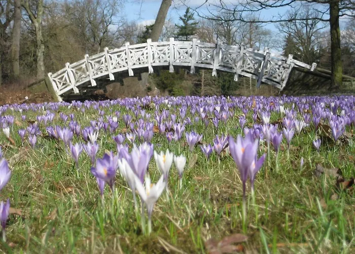 Wörlitzer Hof Hotel